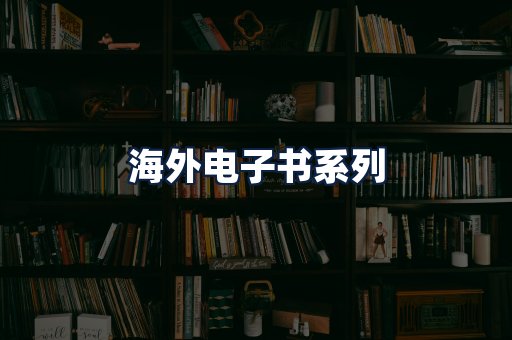 海外电子书